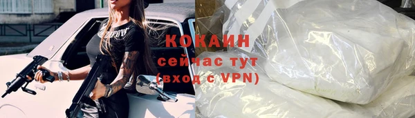 мдпв Каменка