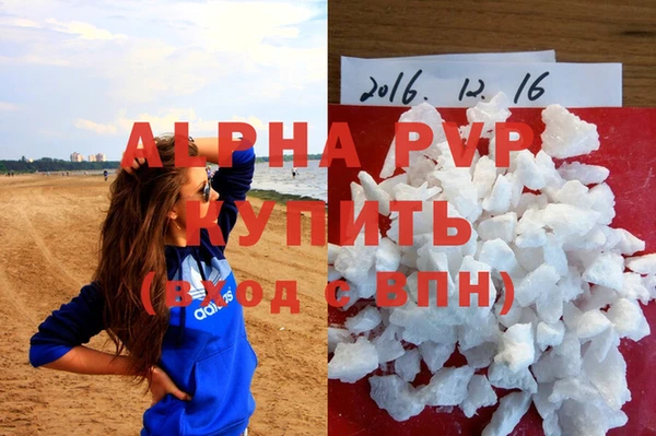 эйфоретик Каменногорск