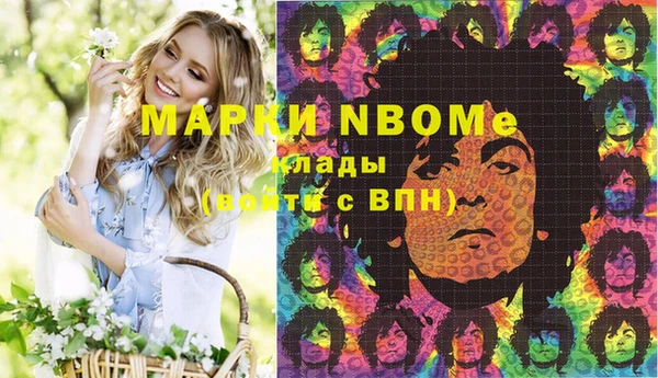 мдпв Каменка