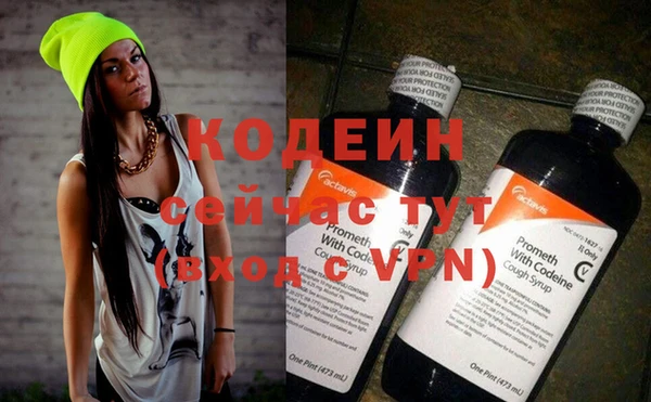 мдпв Каменка