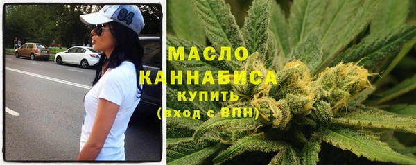 мдпв Каменка