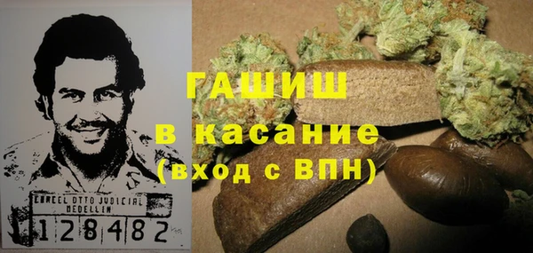 эйфоретик Каменногорск