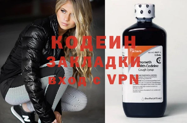 мдпв Каменка