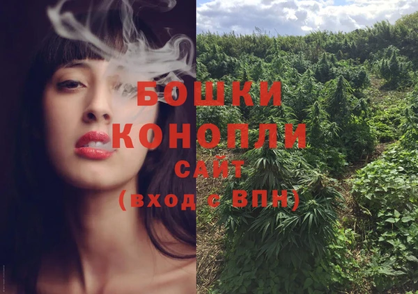 мдпв Каменка