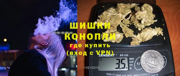 мдпв Каменка