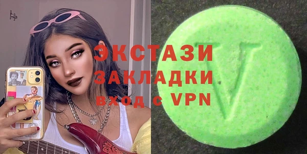 мдпв Каменка