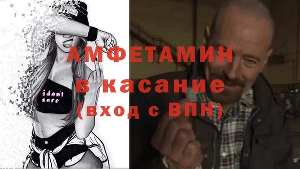 мдпв Каменка