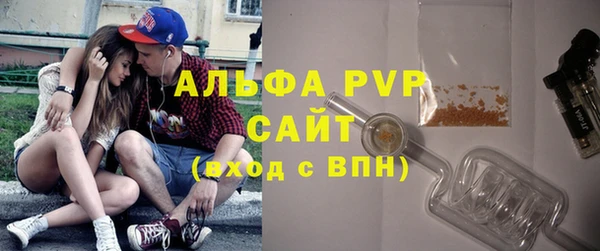 эйфоретик Каменногорск