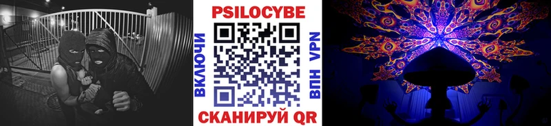 Купить где  Бежецк  Псилоцибиновые грибы MAGIC MUSHROOMS 